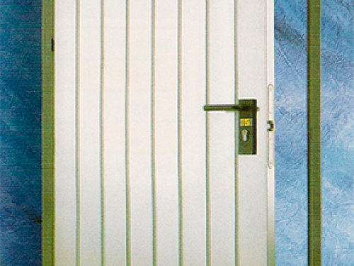 Универсальная дверь из оцинкованной стали Technical Doors Dierre club